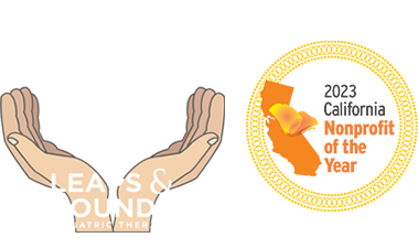 Friends of Leaps and Bounds