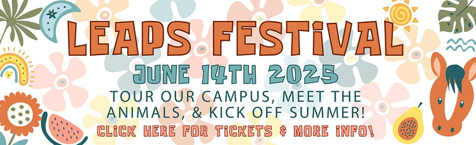 leaps festival